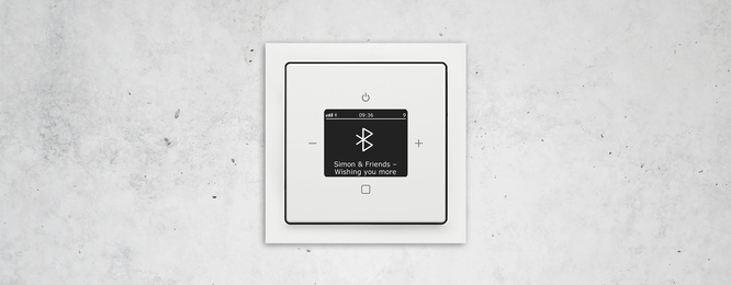 Busch-Radio Btconnect bei Elektro Scholz in Jessen / Elster OT Holzdorf